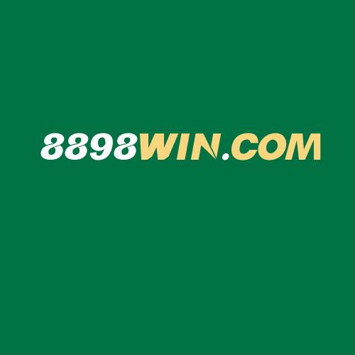 Logo da 8898WIN